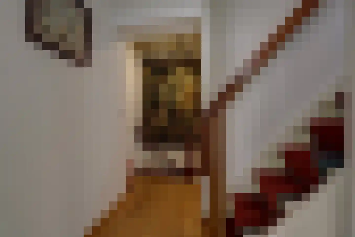 Reigerstraat 1 Middelburg thumbnail 22