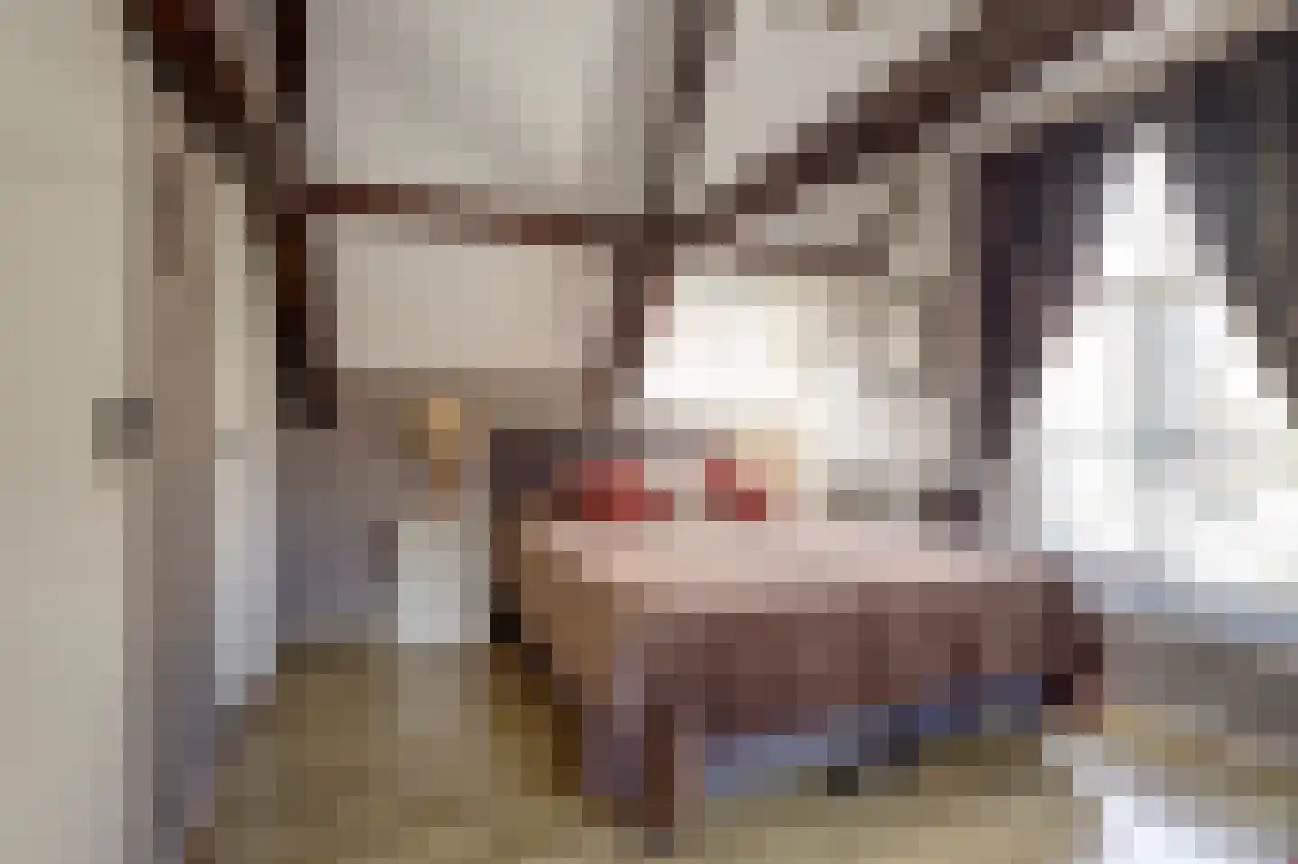 Reigerstraat 1 Middelburg thumbnail 36