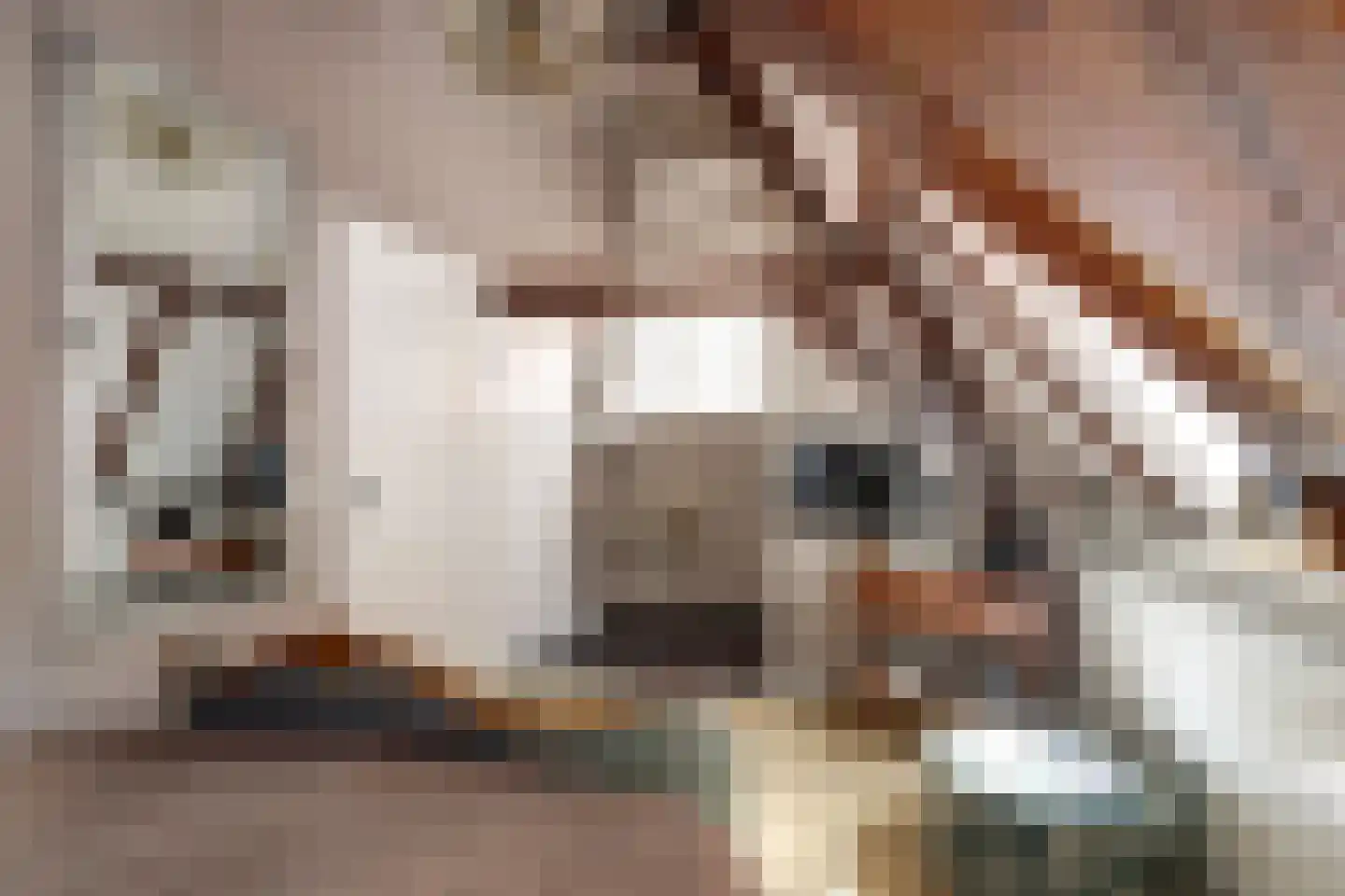 Reigerstraat 1 Middelburg thumbnail 44