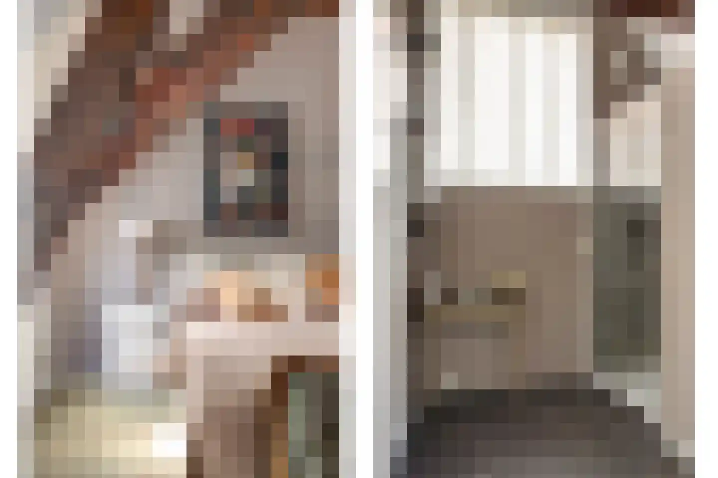 Reigerstraat 1 Middelburg thumbnail 45
