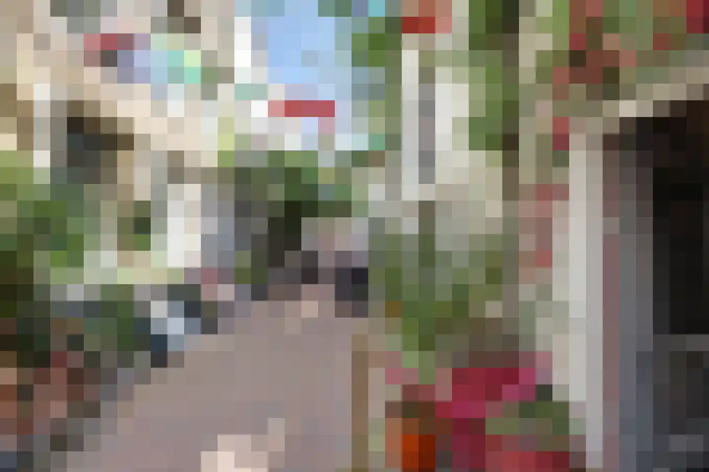 Reigerstraat 1 Middelburg thumbnail 5