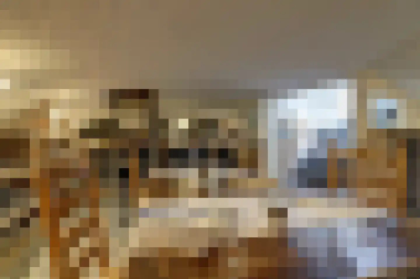 Reigerstraat 1 Middelburg thumbnail 54