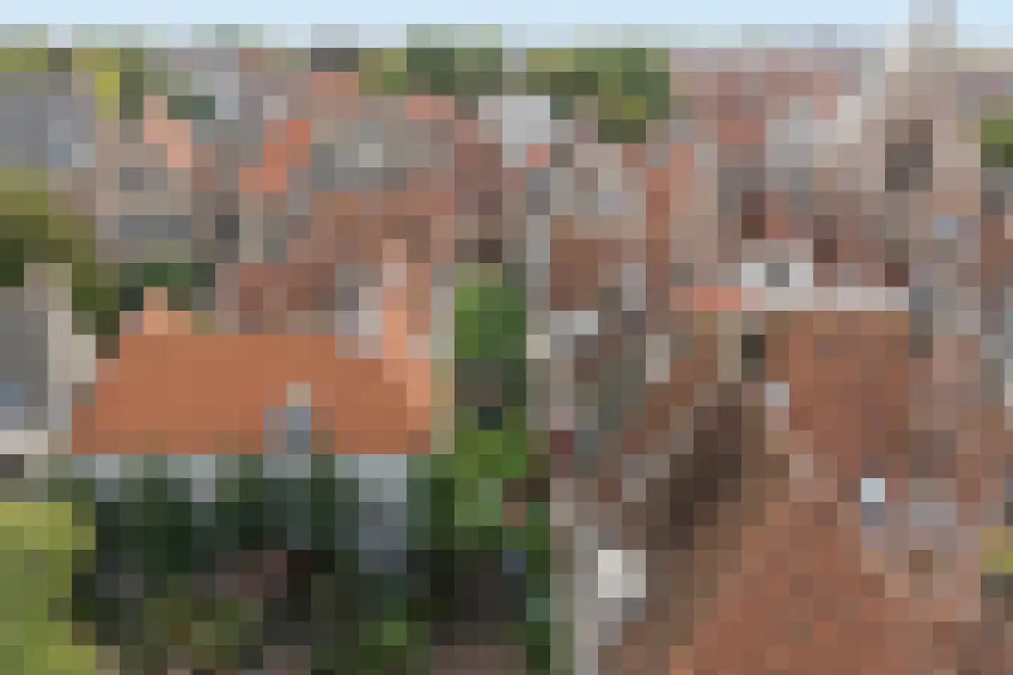 Reigerstraat 1 Middelburg thumbnail 64