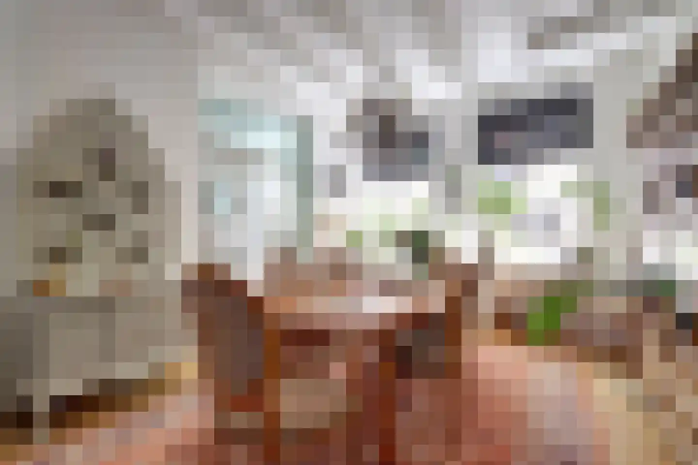 Reigerstraat 1 Middelburg thumbnail 9