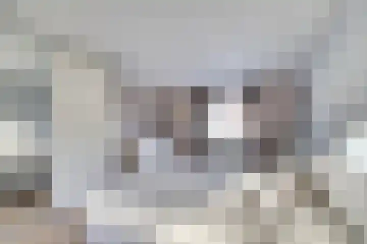 Reigerstraat 10 Haastrecht thumbnail 20