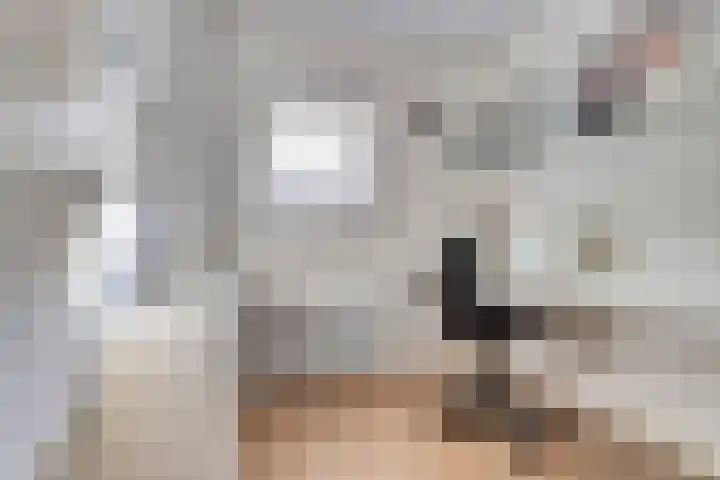 Reigerstraat 10 Haastrecht thumbnail 22