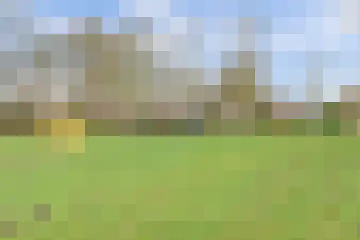 Reigerstraat 10 Haastrecht thumbnail 37