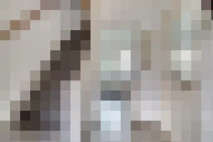Reigerstraat 10 Haastrecht thumbnail 6