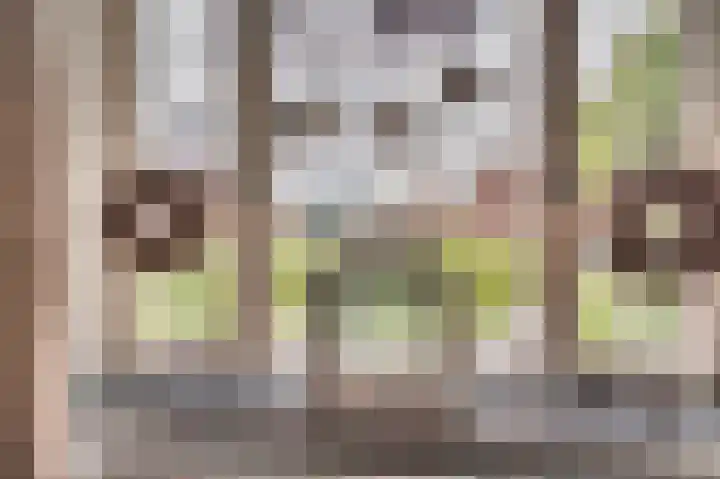 Reigerstraat 11 Tegelen thumbnail 10