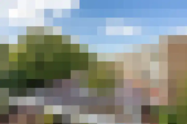 Reigerstraat 11 Wormerveer thumbnail 9