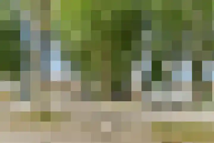 Reigerstraat 114 Dordrecht thumbnail 28