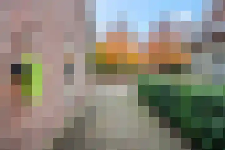 Reigerstraat 12 Barneveld thumbnail 11