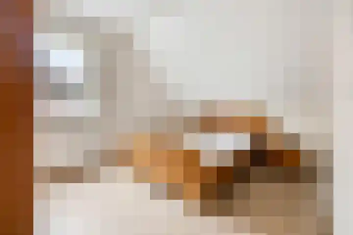 Reigerstraat 12 Barneveld thumbnail 33