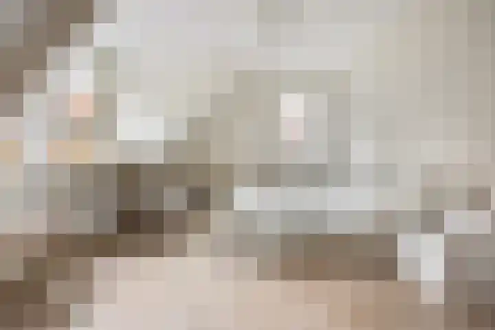 Reigerstraat 12 Barneveld thumbnail 36