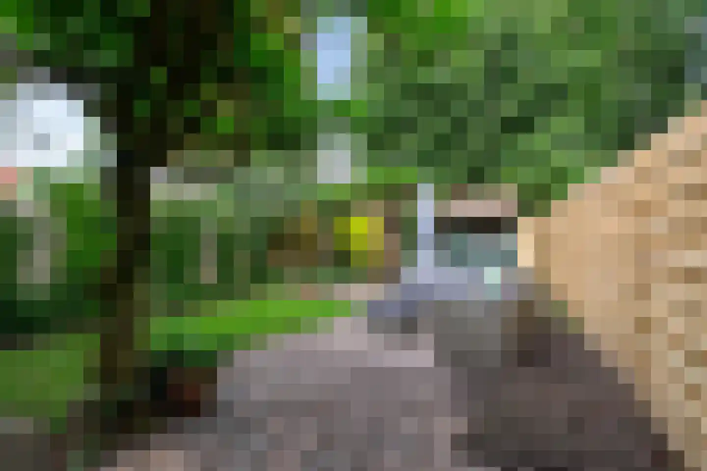 Reigerstraat 12 Groningen thumbnail 32