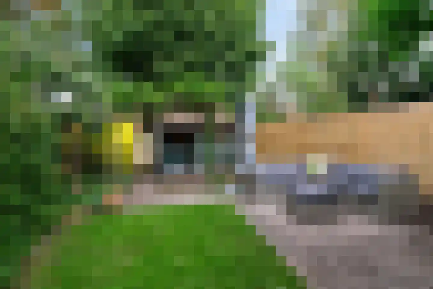 Reigerstraat 12 Groningen thumbnail 33