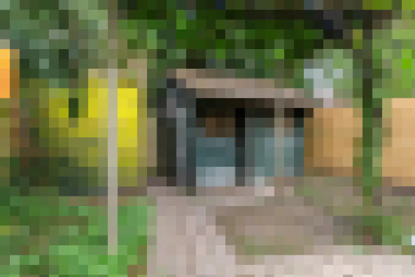 Reigerstraat 12 Groningen thumbnail 41