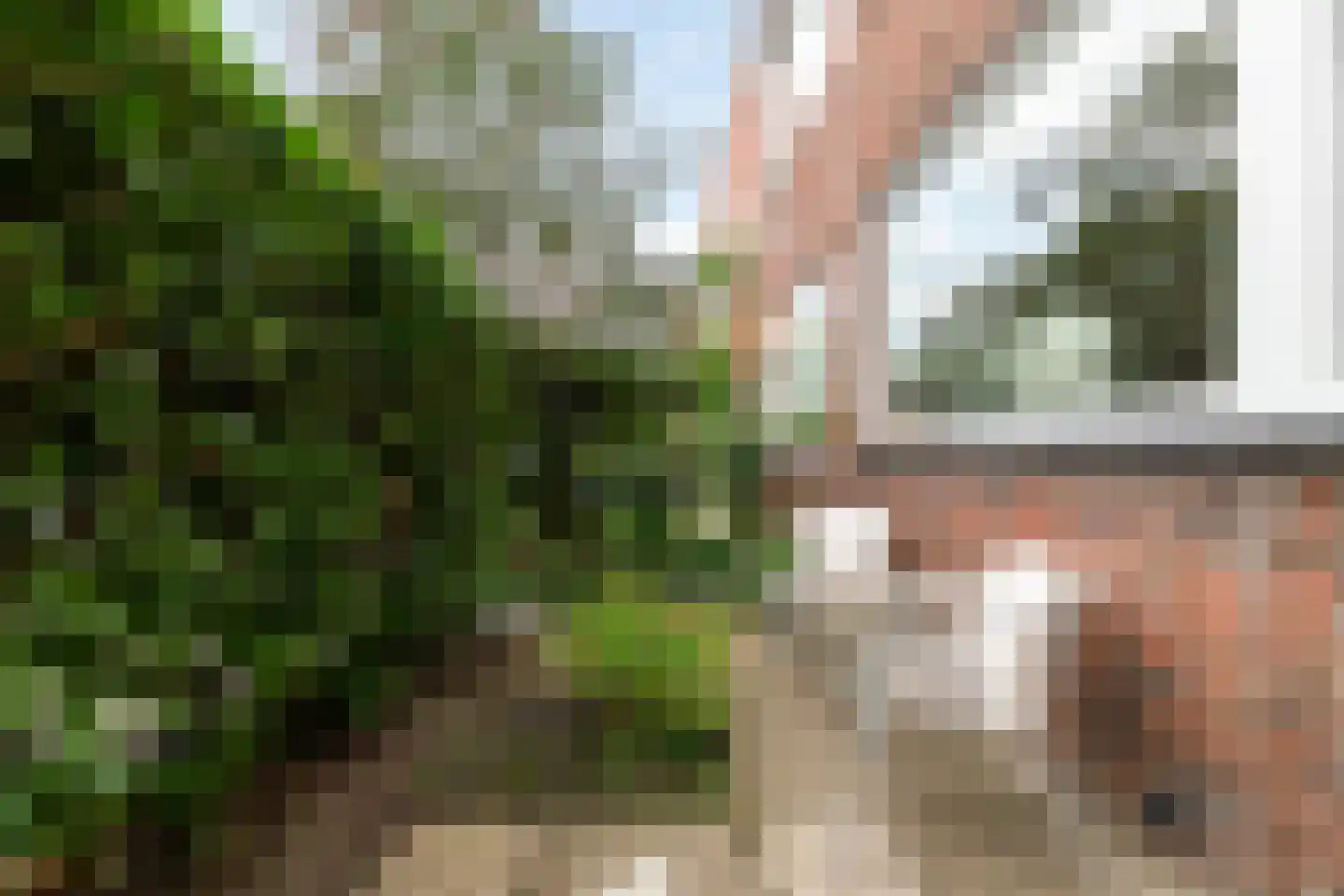 Reigerstraat 12 Groningen thumbnail 9