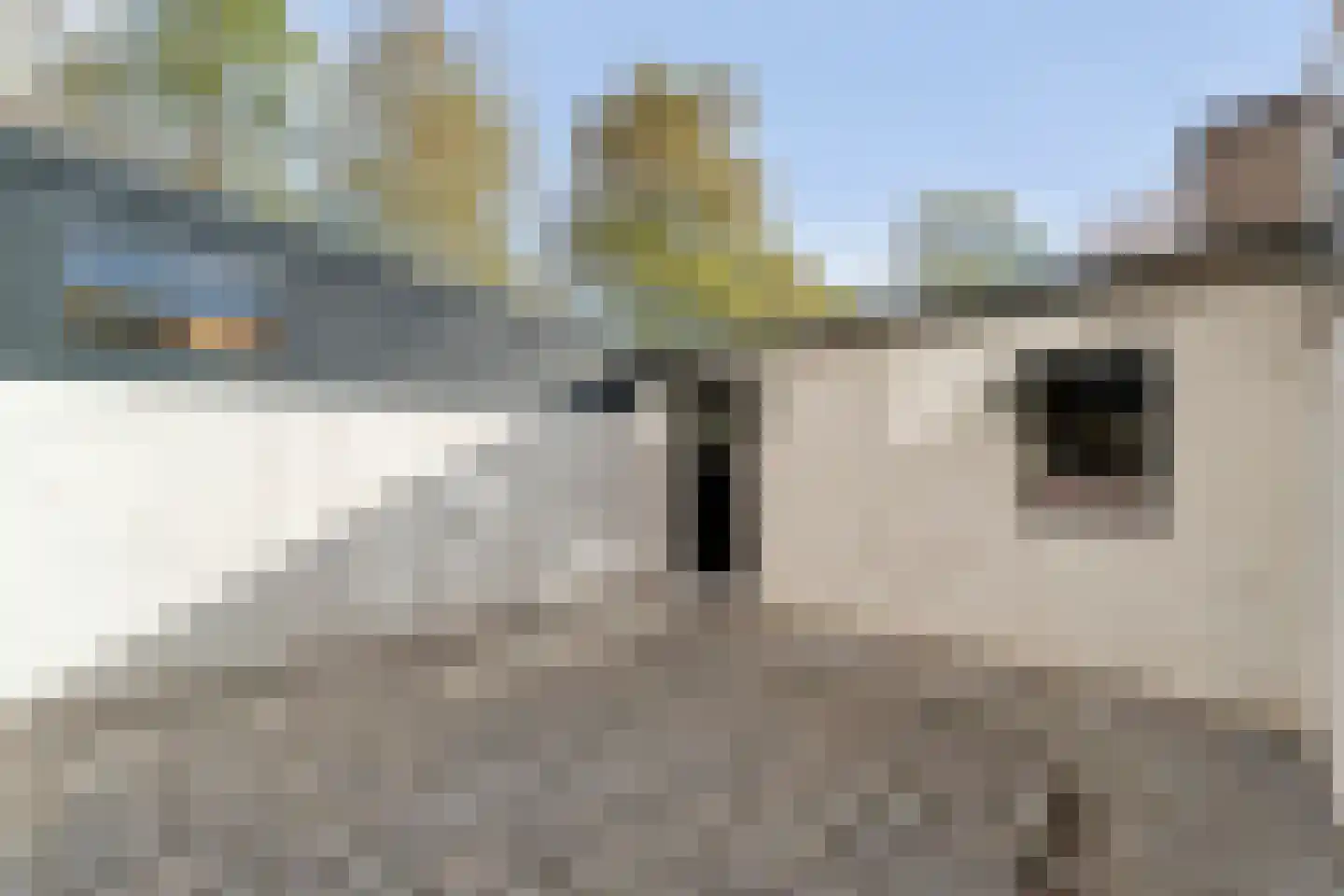 Reigerstraat 12 Hardenberg thumbnail 10