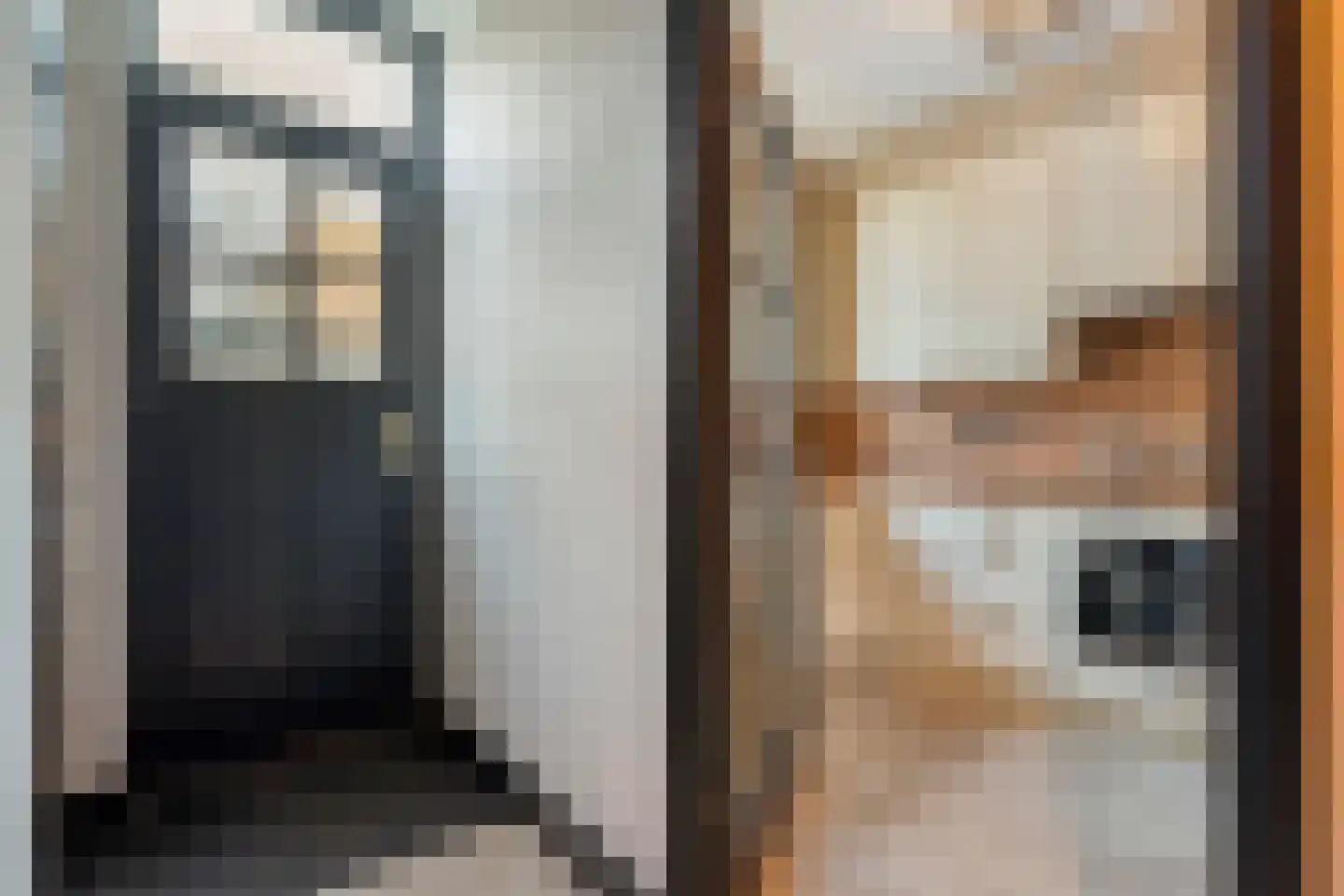 Reigerstraat 12 Hardenberg thumbnail 11