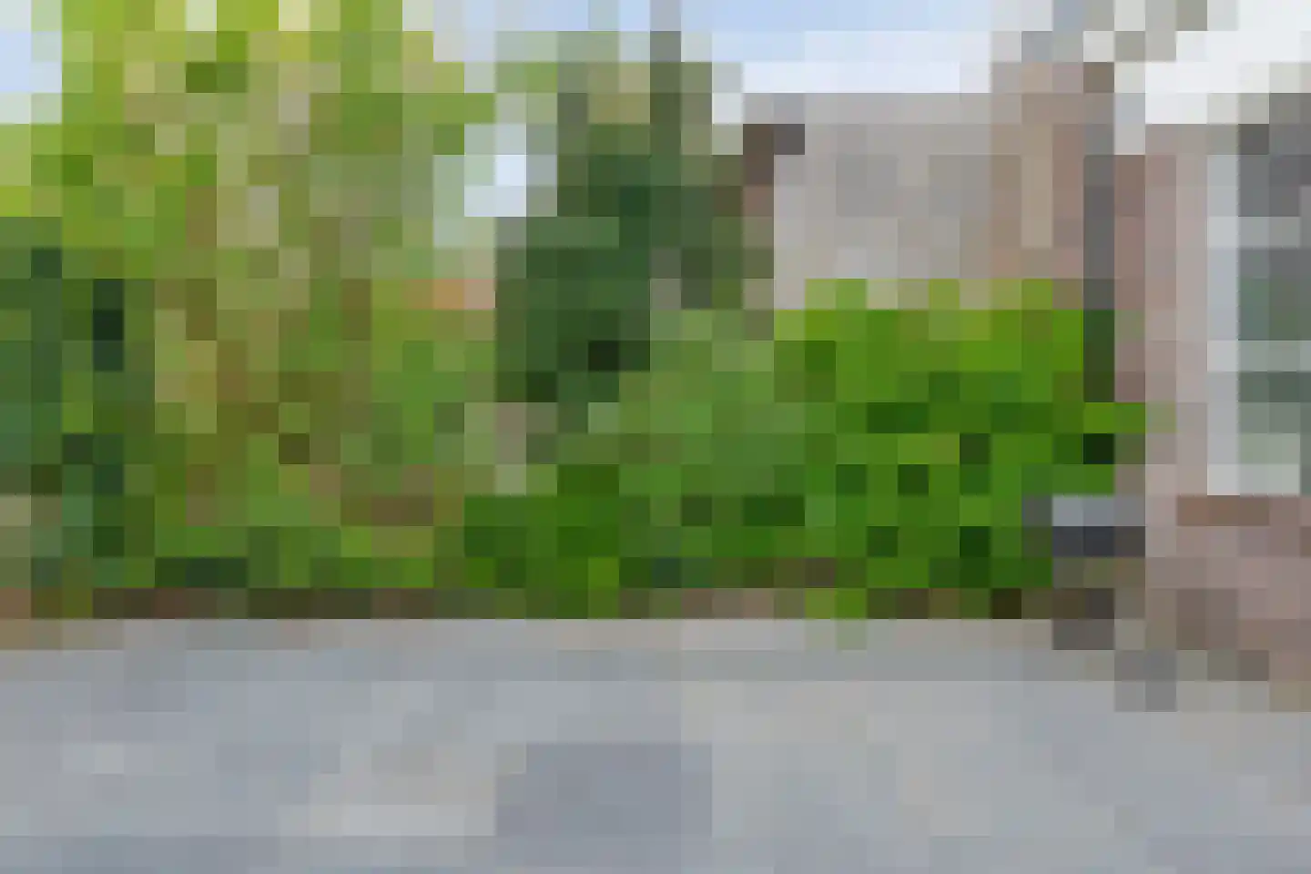 Reigerstraat 12 Hardenberg thumbnail 29