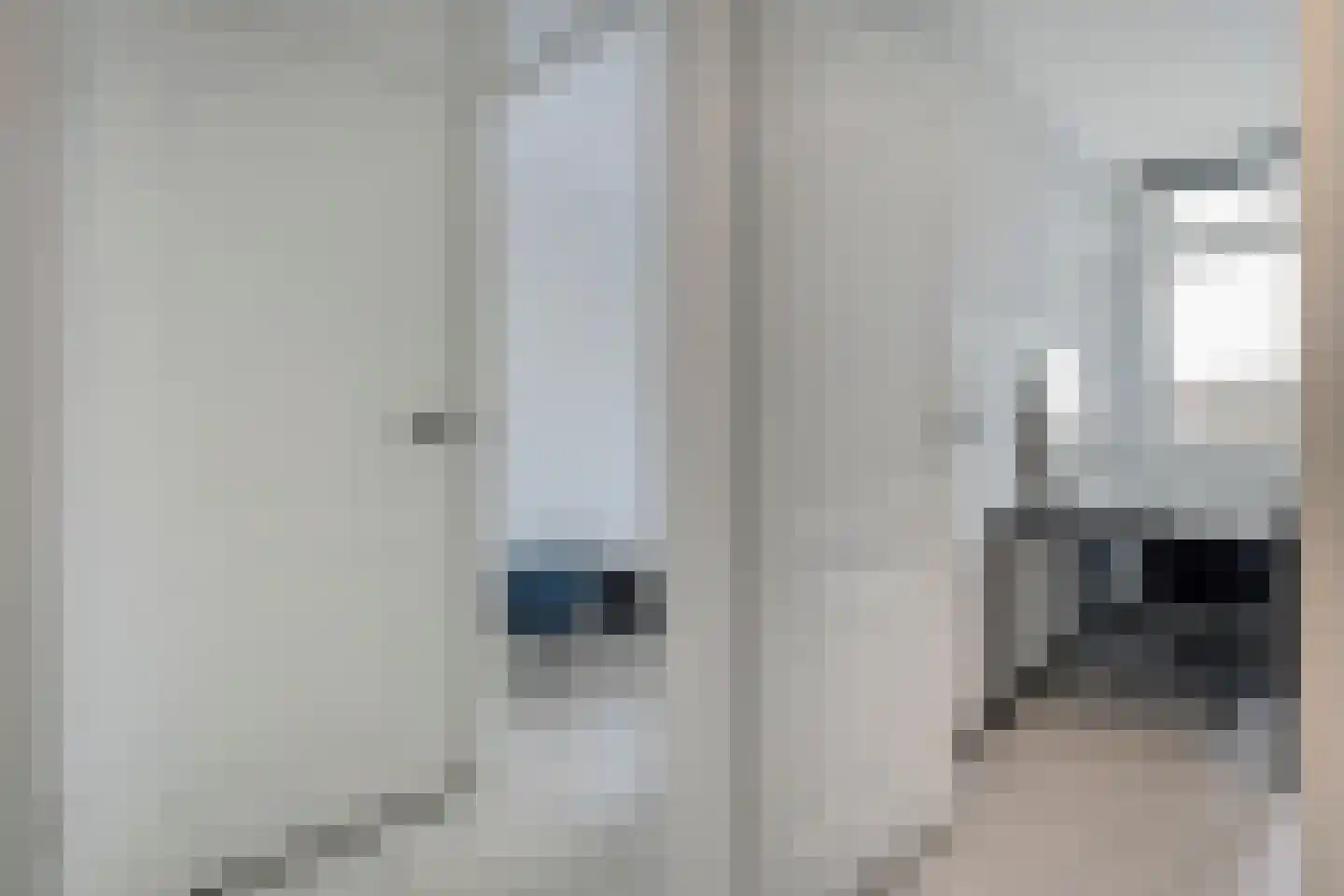 Reigerstraat 12 Hardenberg thumbnail 32