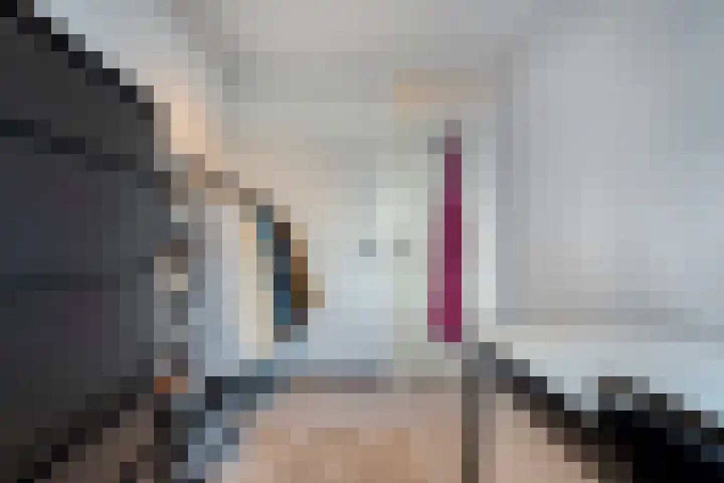 Reigerstraat 12 Hardenberg thumbnail 38