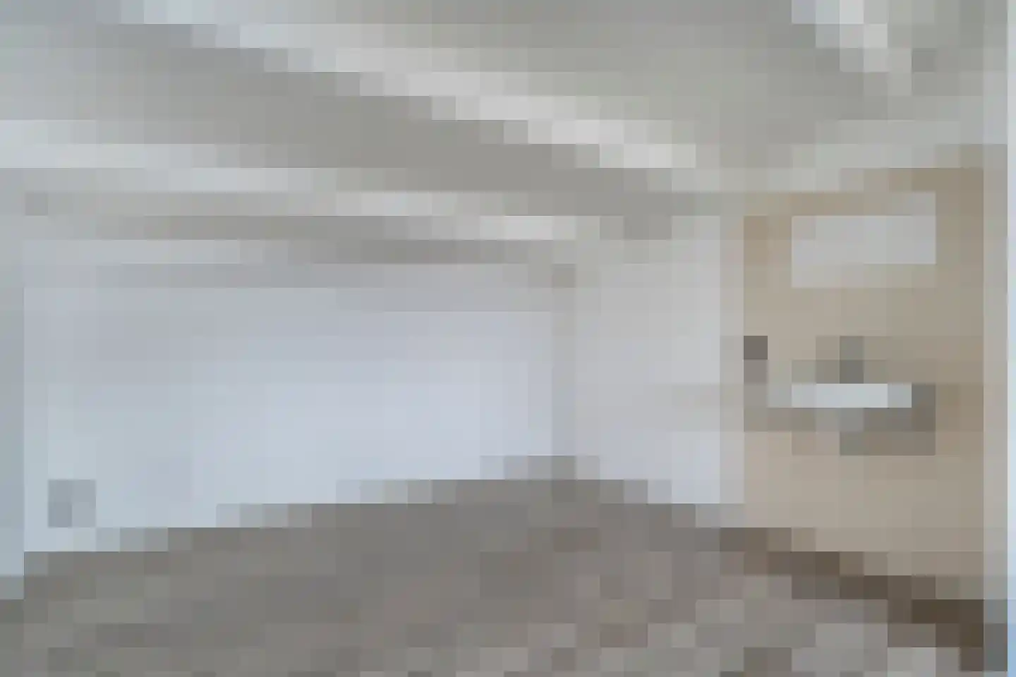 Reigerstraat 12 Hardenberg thumbnail 44