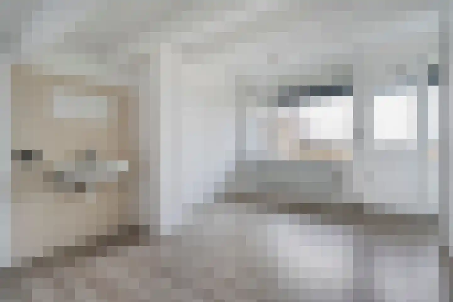 Reigerstraat 12 Hardenberg thumbnail 45