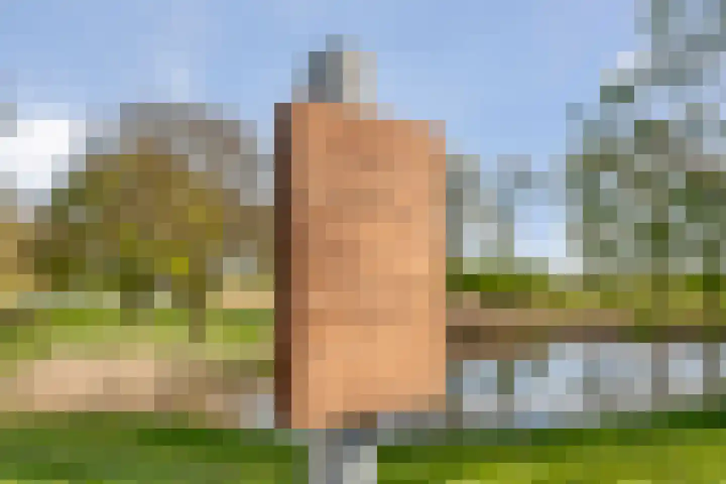 Reigerstraat 12 Hardenberg thumbnail 59