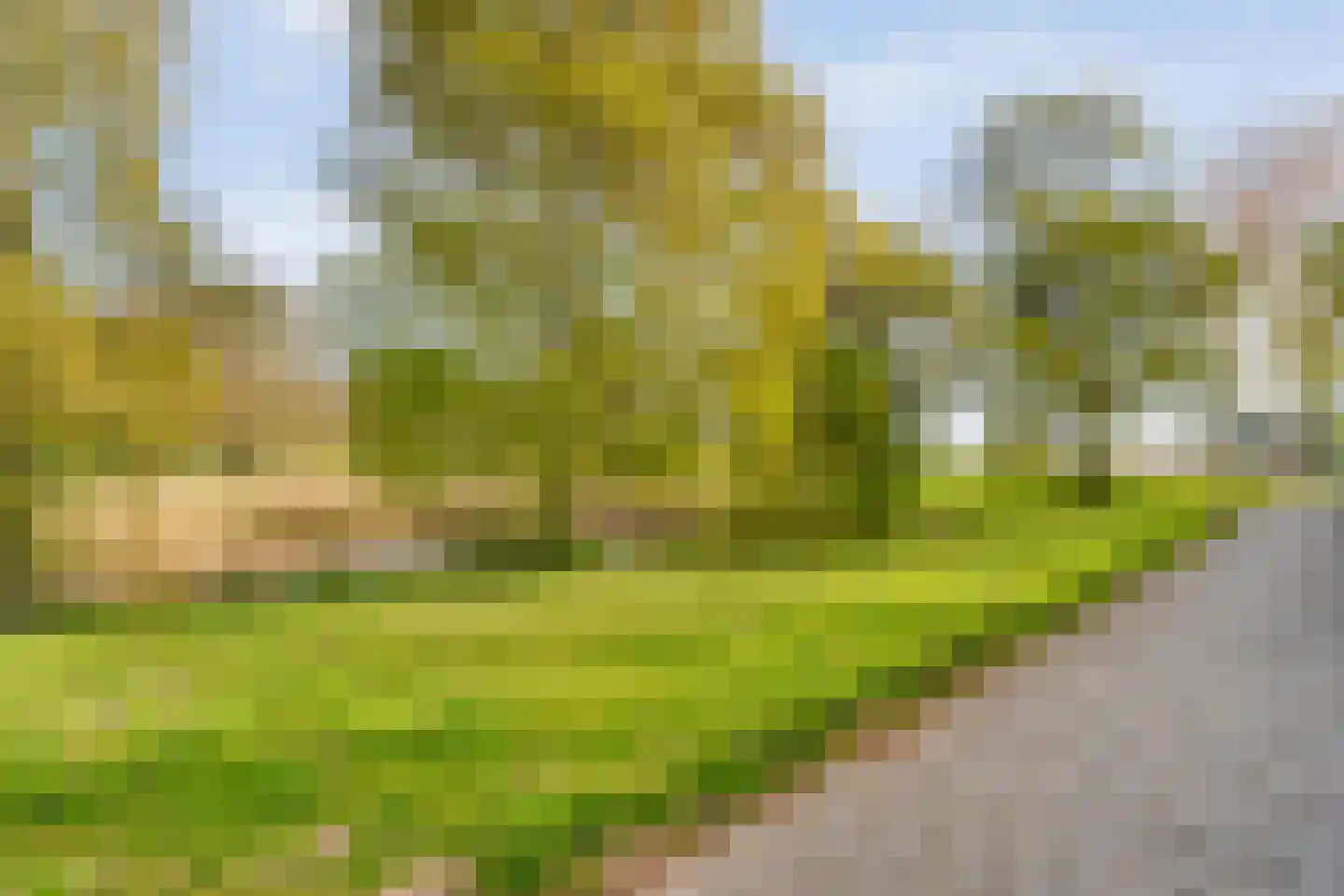 Reigerstraat 12 Hardenberg thumbnail 60