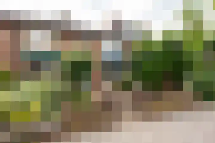 Reigerstraat 13 Baarn thumbnail 33