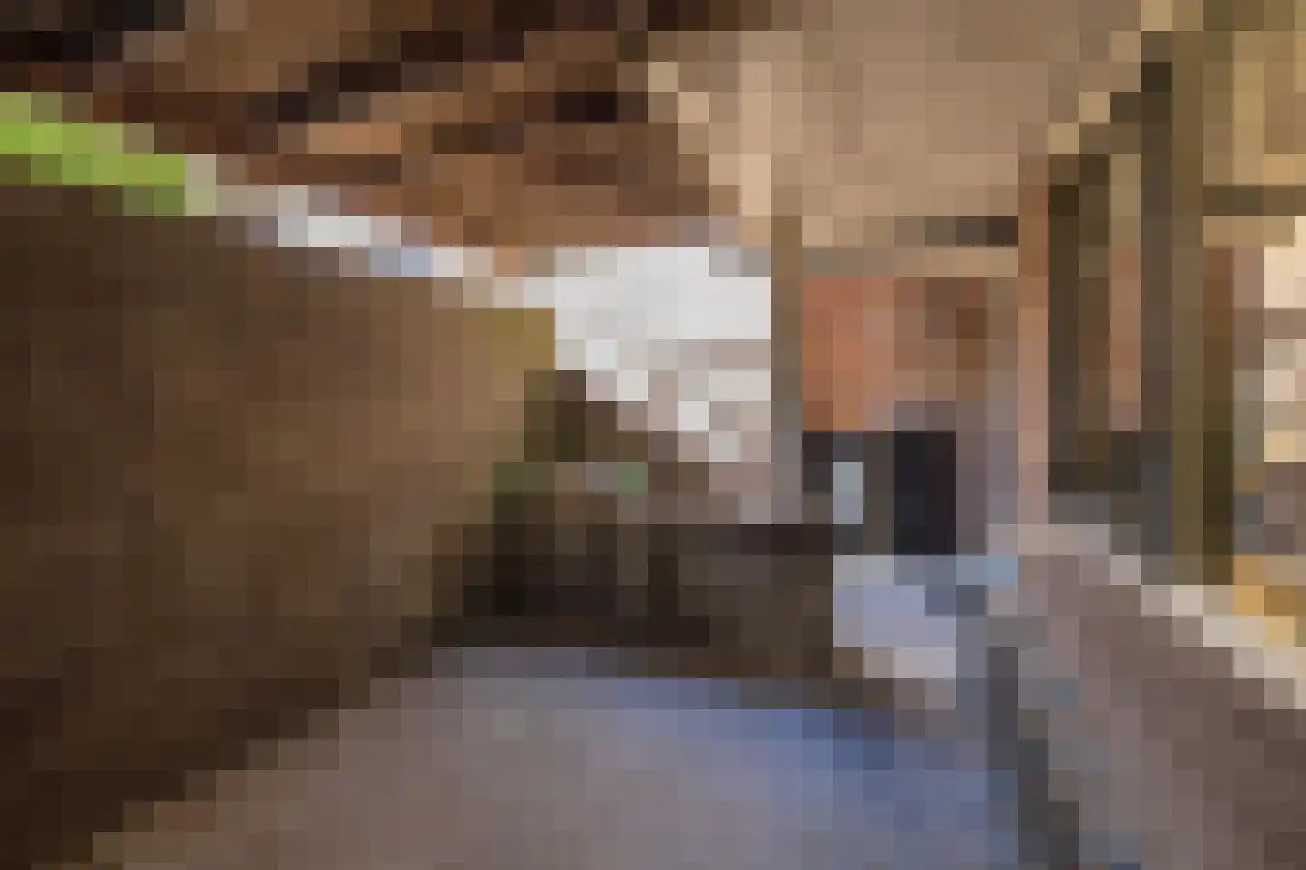 Reigerstraat 13 Katwijk thumbnail 34