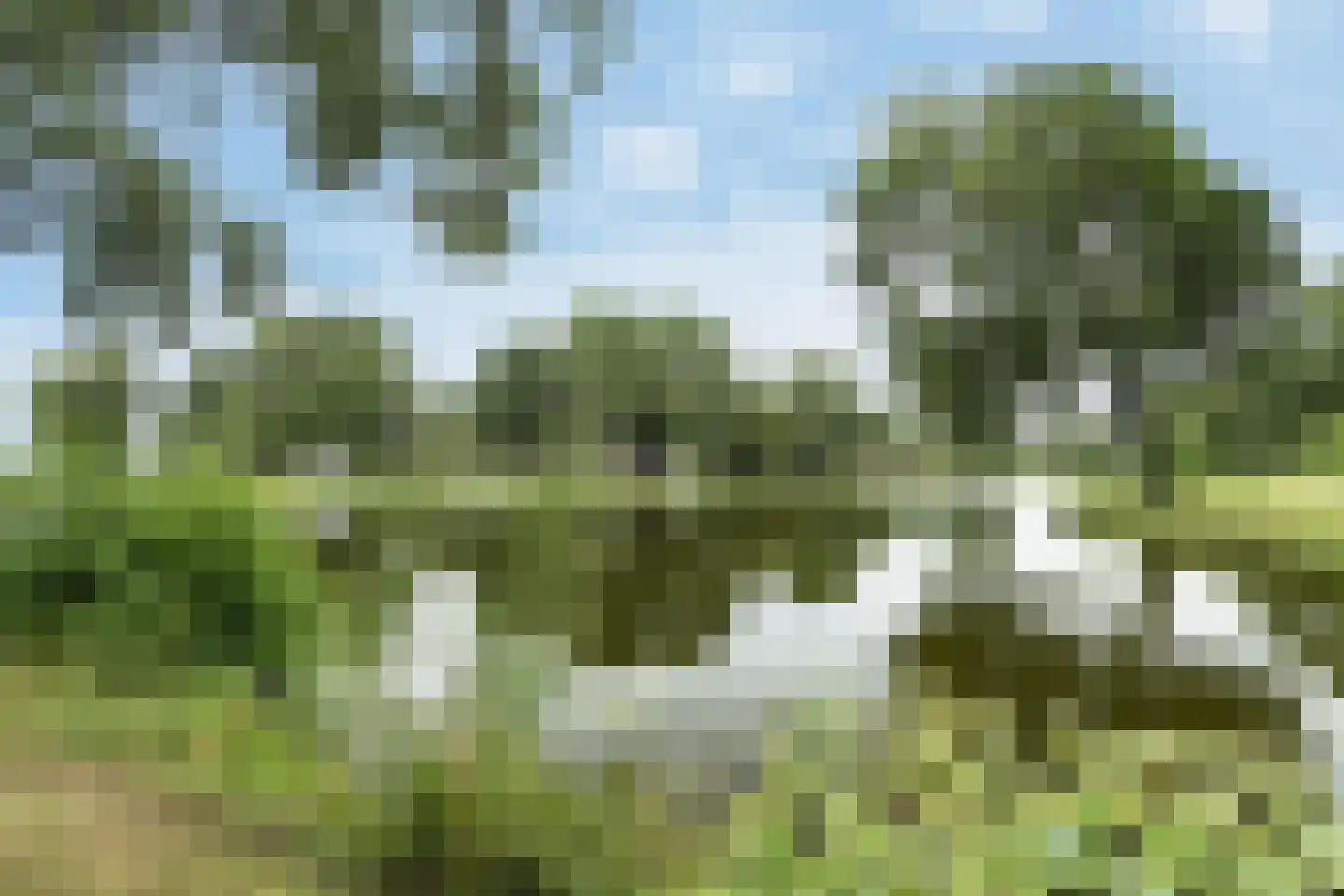 Reigerstraat 13 Zwijndrecht thumbnail 31