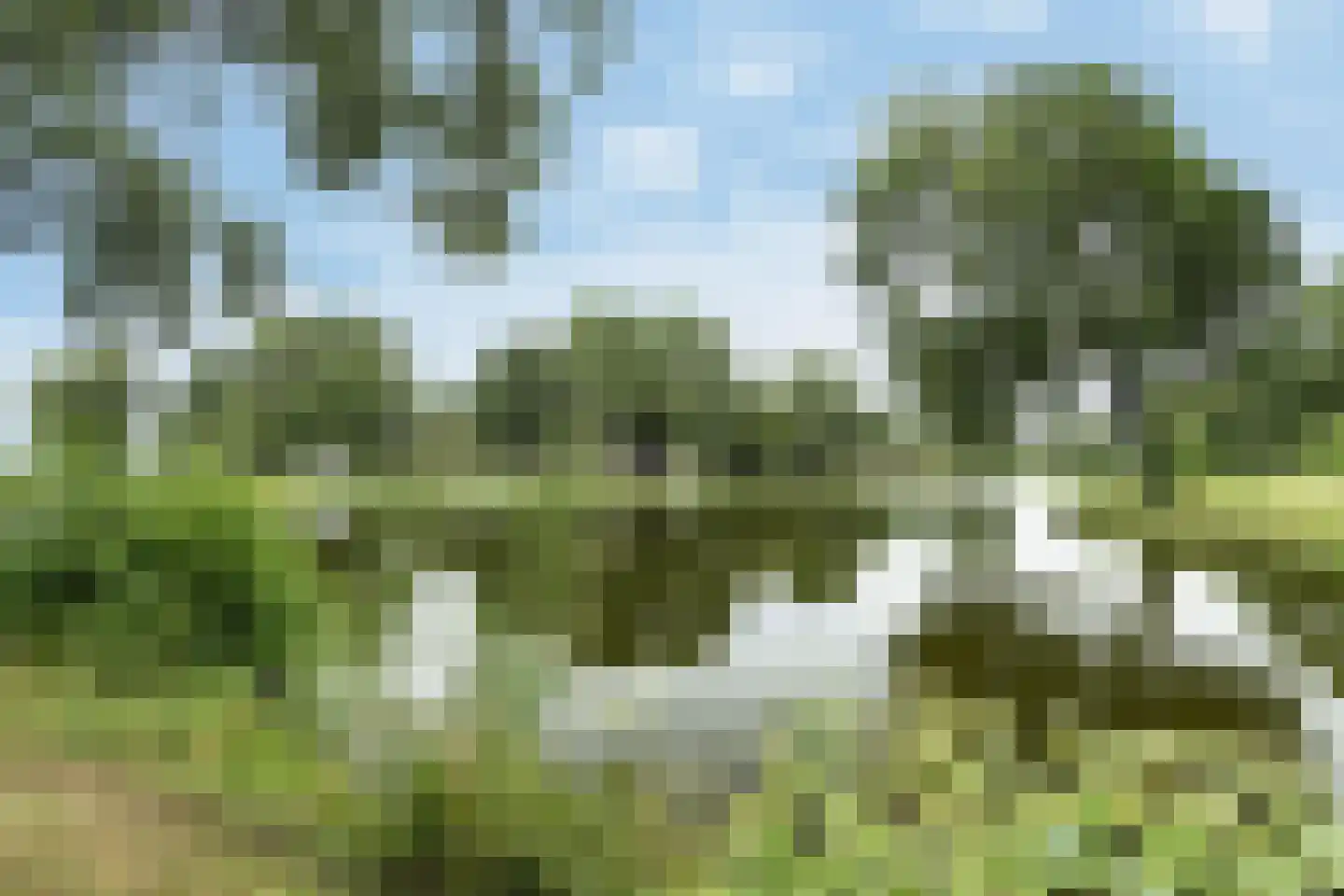 Reigerstraat 13 Zwijndrecht thumbnail 31