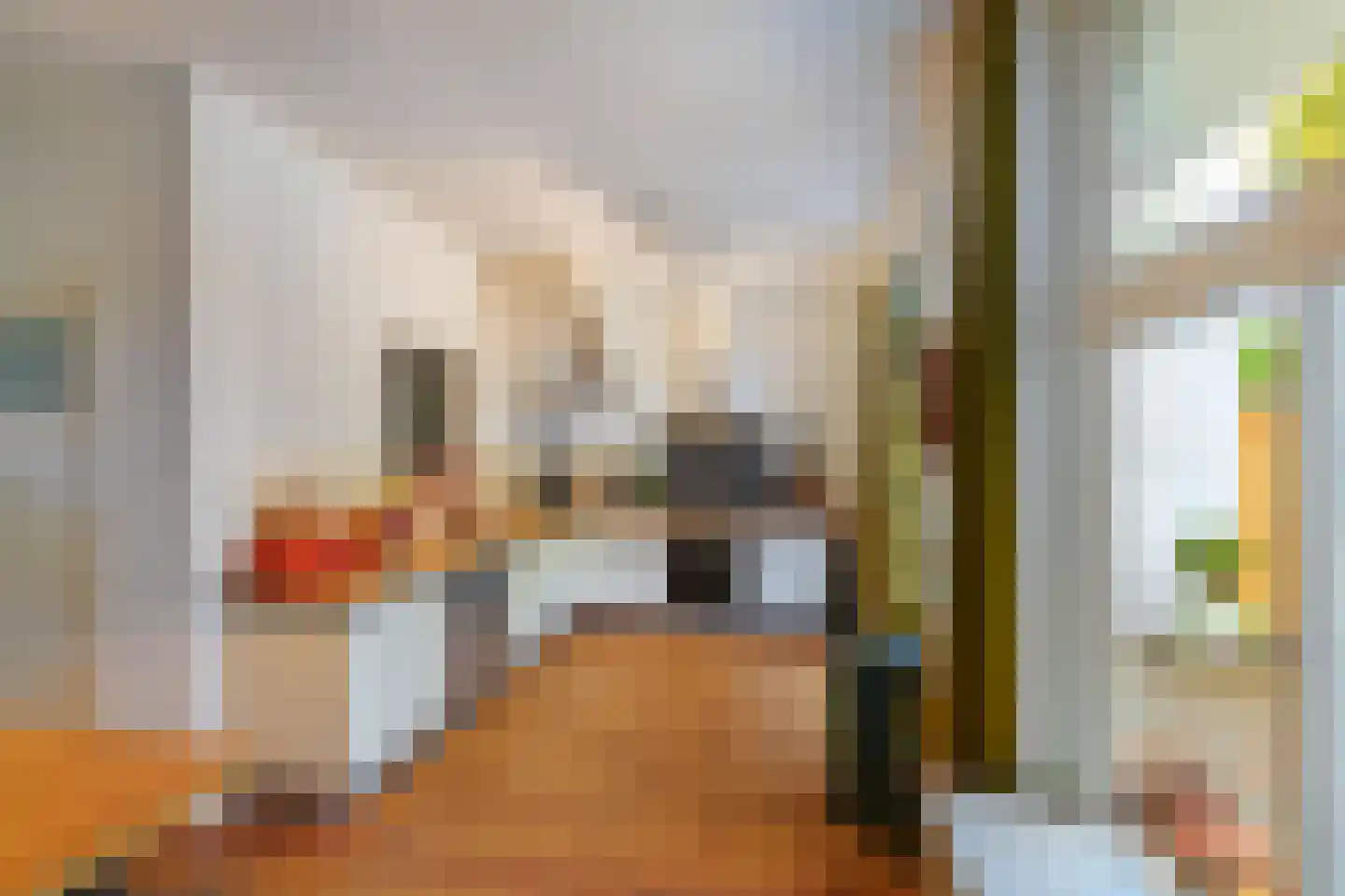Reigerstraat 14 Groningen thumbnail 17