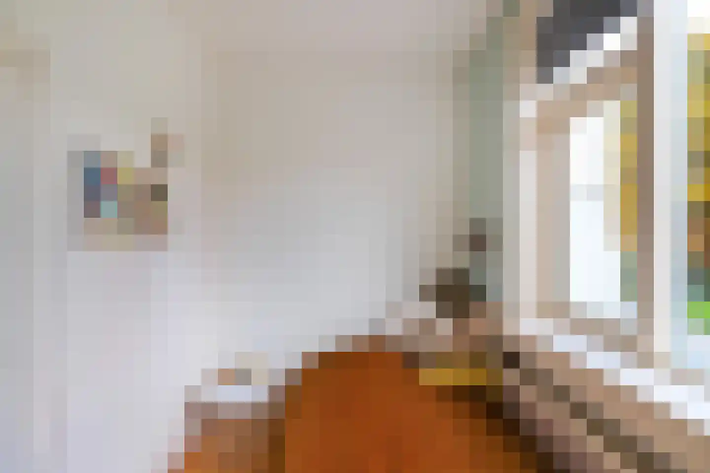 Reigerstraat 14 Groningen thumbnail 26