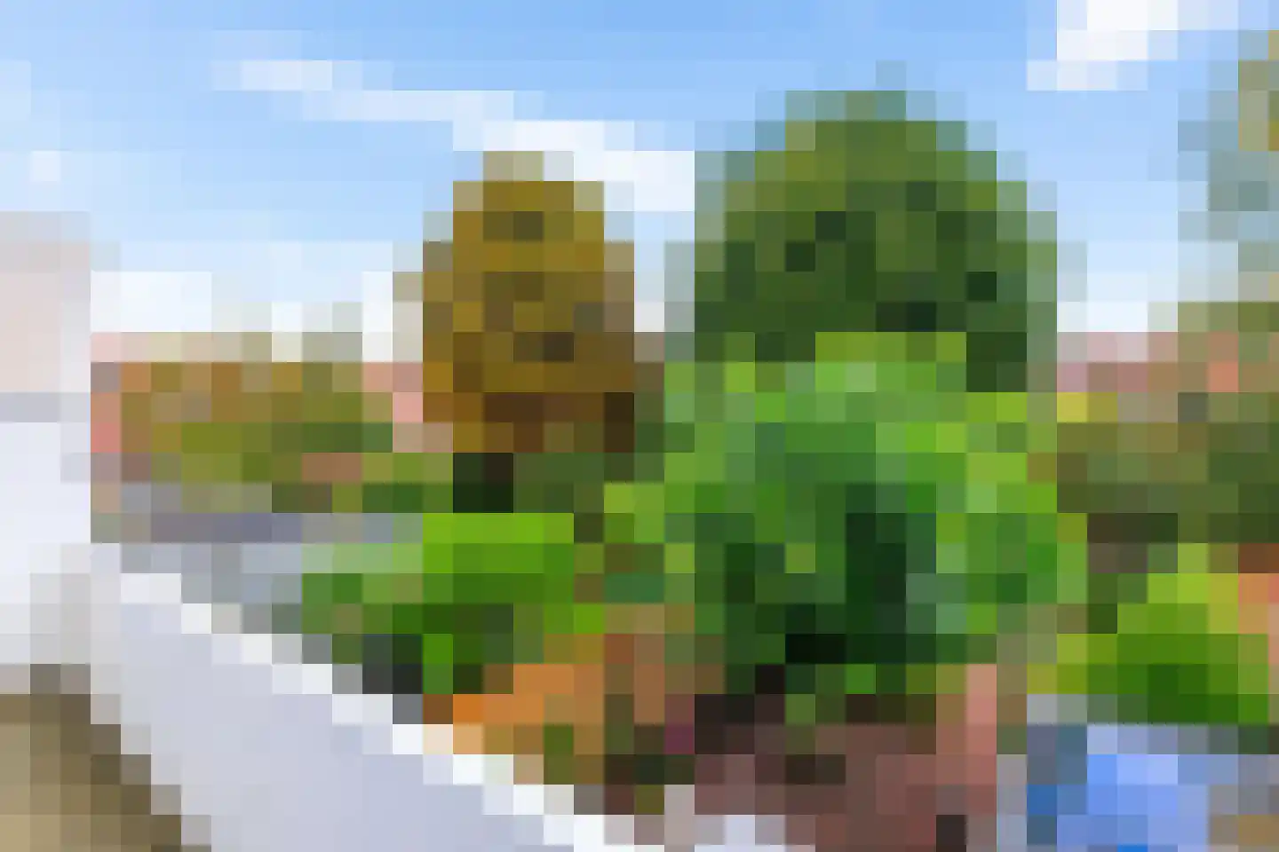 Reigerstraat 14 Groningen thumbnail 31
