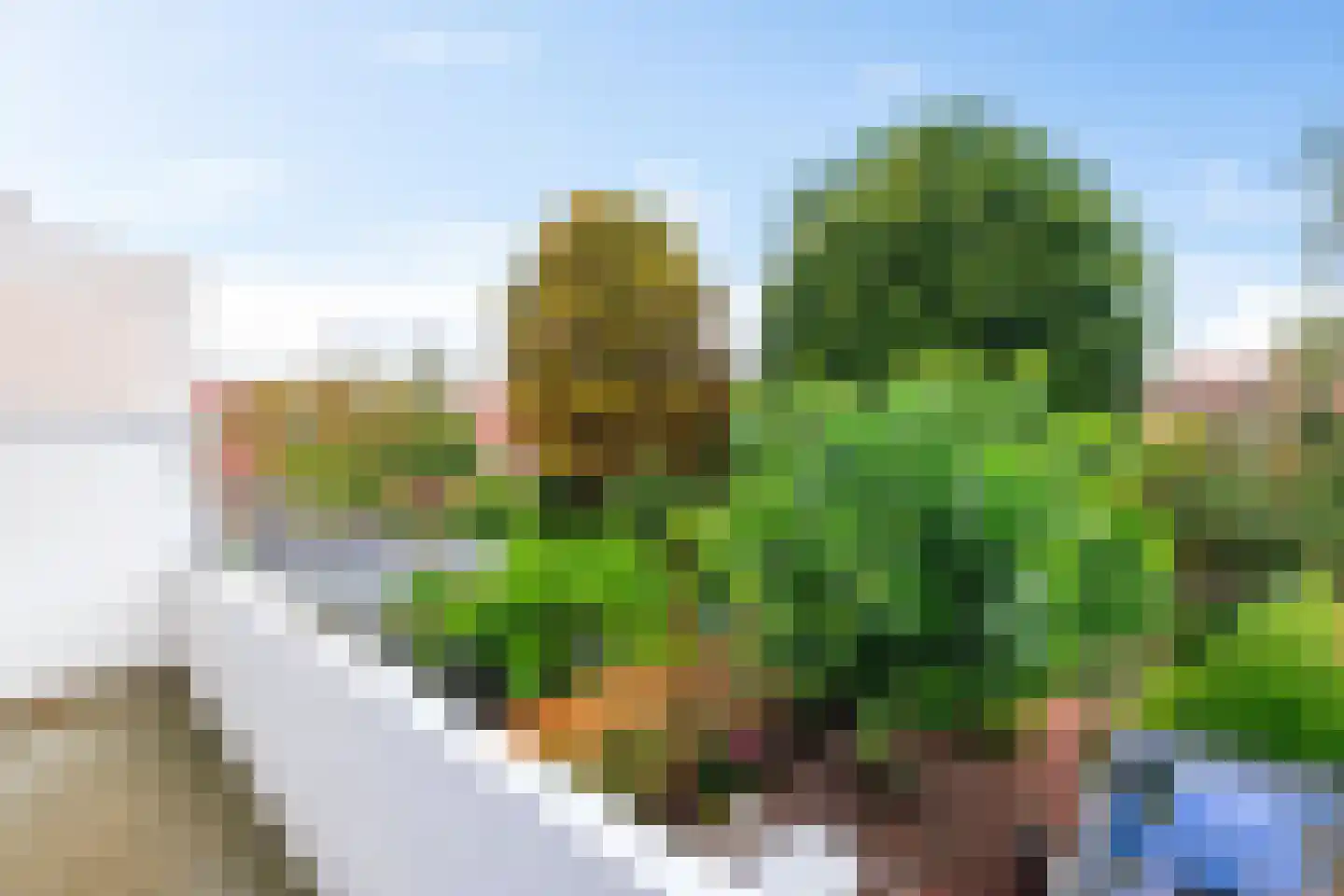 Reigerstraat 14 Groningen thumbnail 32