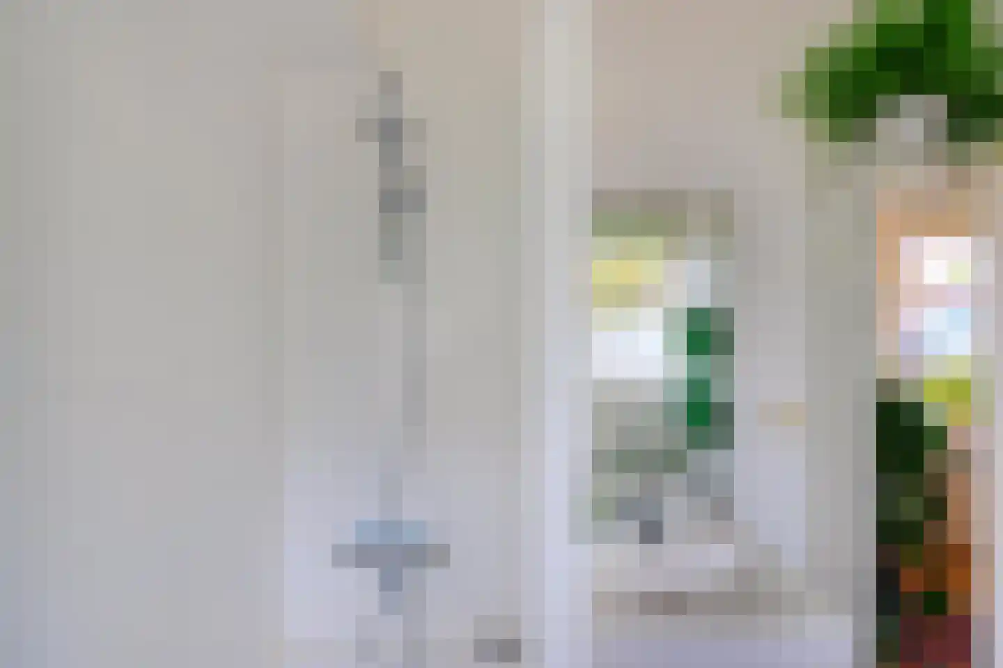 Reigerstraat 14 Groningen thumbnail 38