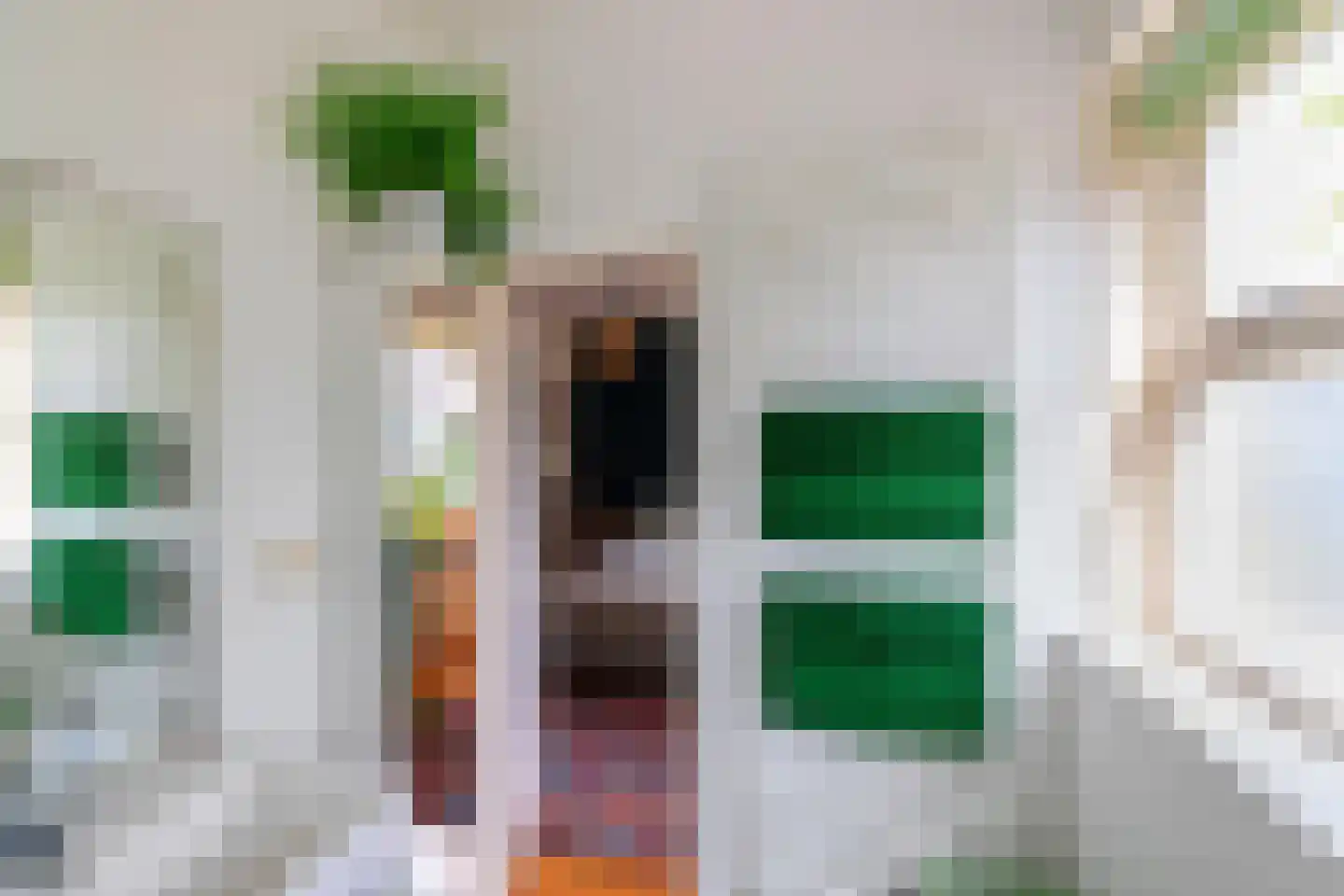 Reigerstraat 14 Groningen thumbnail 39
