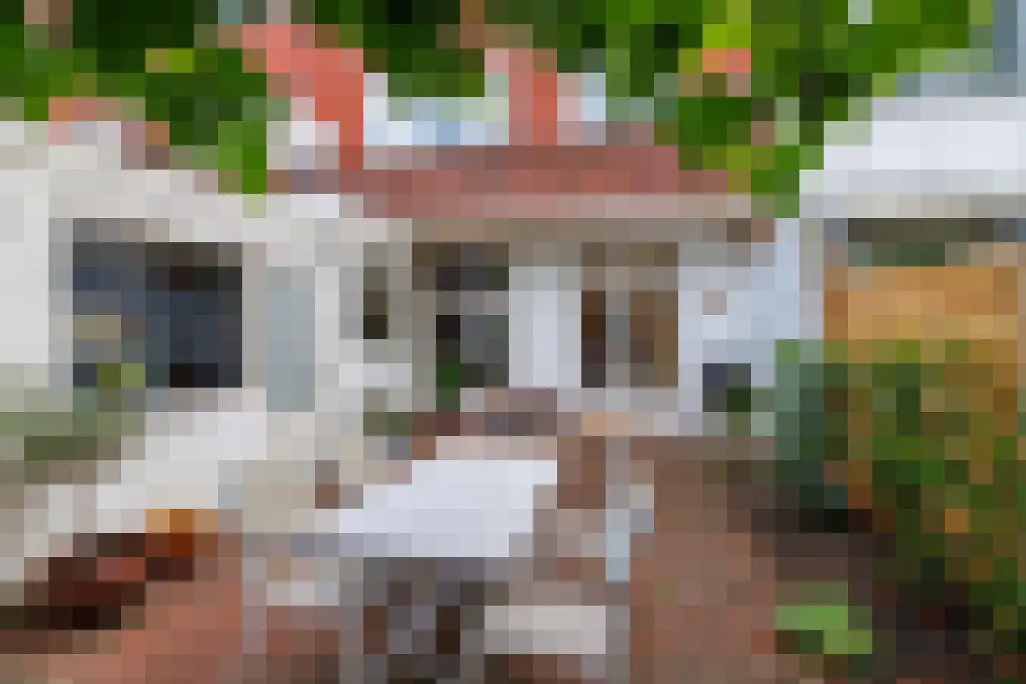 Reigerstraat 14 Groningen thumbnail 41