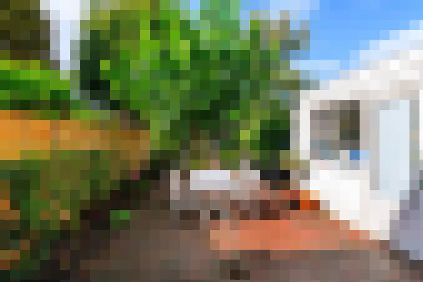 Reigerstraat 14 Groningen thumbnail 42