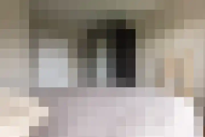 Reigerstraat 15 Wormerveer thumbnail 19