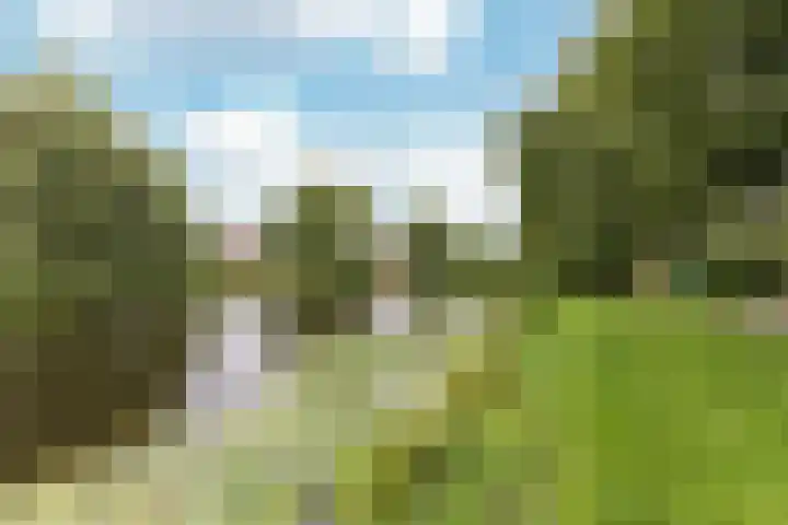 Reigerstraat 15 Wormerveer thumbnail 26