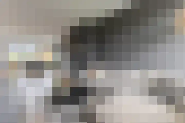 Reigerstraat 15 Wormerveer thumbnail 7