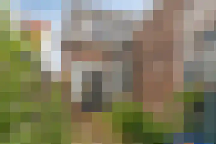 Reigerstraat 15 Zaandam thumbnail 20