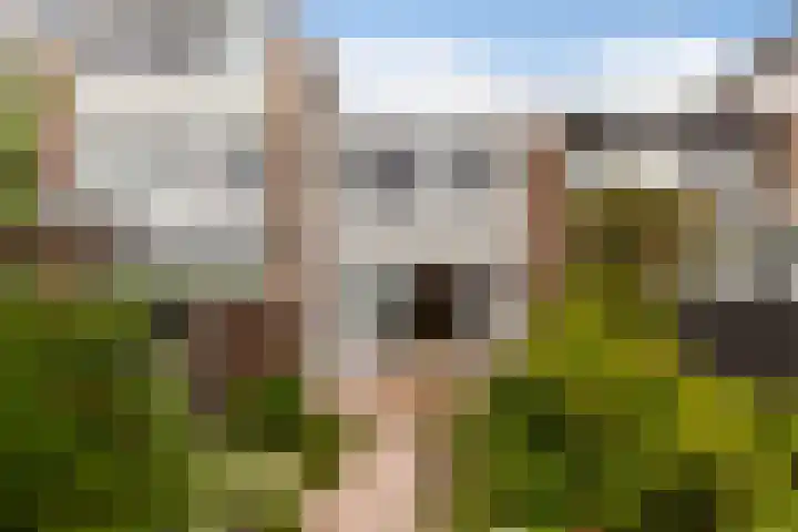 Reigerstraat 16 Alblasserdam thumbnail 23