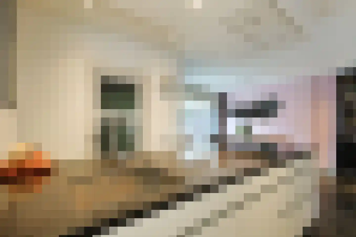 Reigerstraat 17 Nieuwkoop thumbnail 14