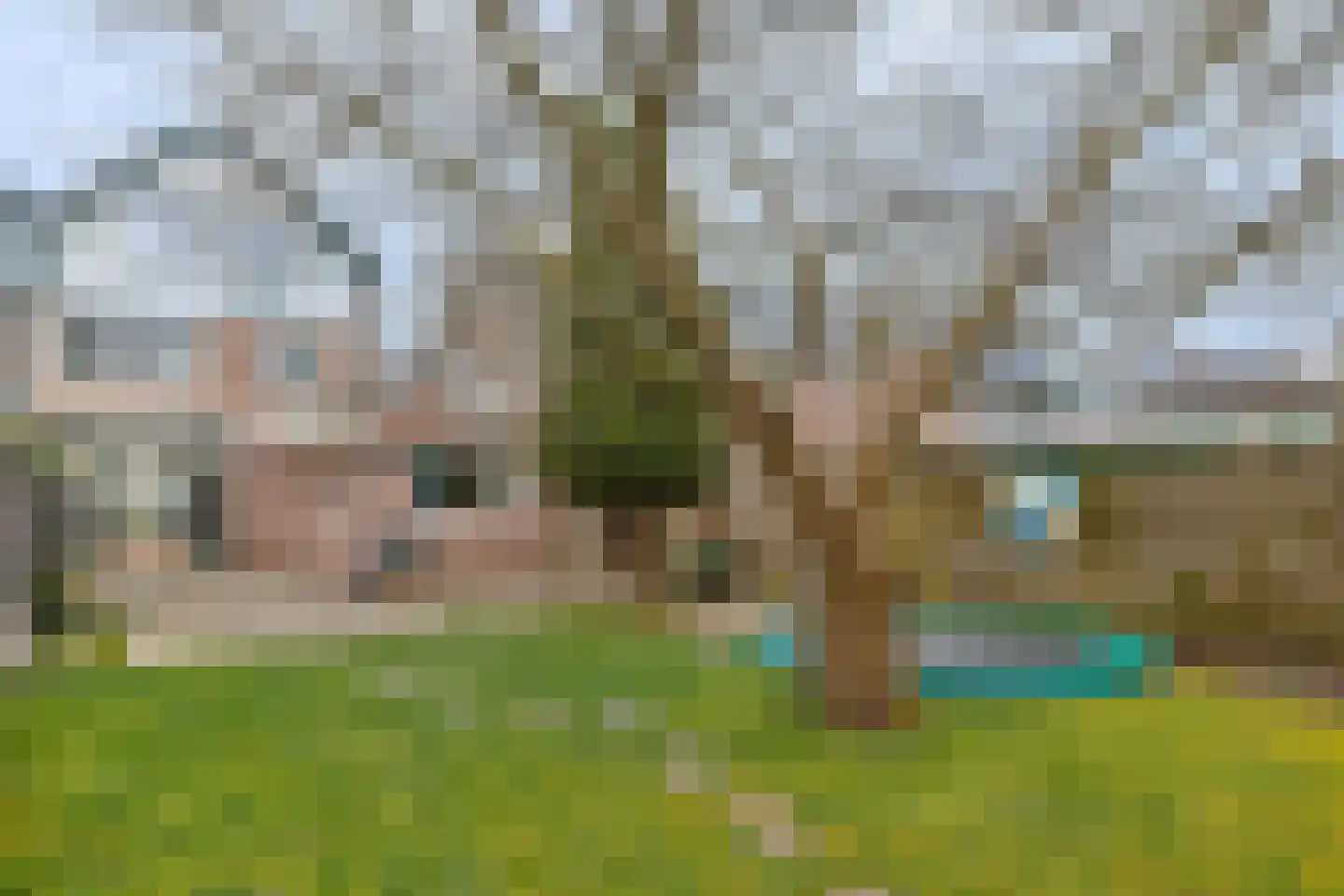 Reigerstraat 17 Nieuwkoop thumbnail 4